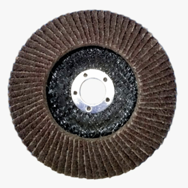 Flap Disc (100 mm)